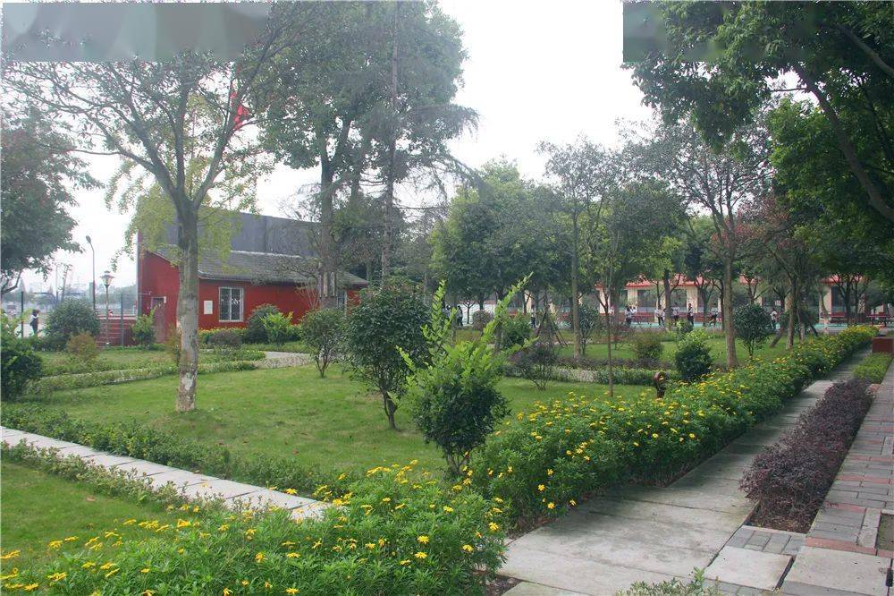 雅安市强项双语中学倾情倾力教好每一位学生