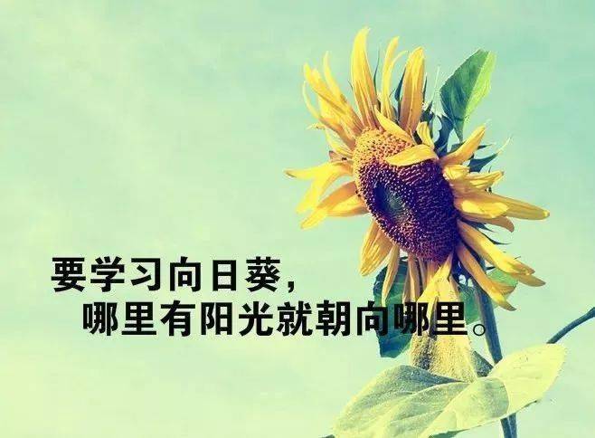 朋友圈正能量满满的经典语句每一句都激励人心