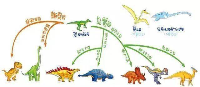恐龙思维导图四年级图片