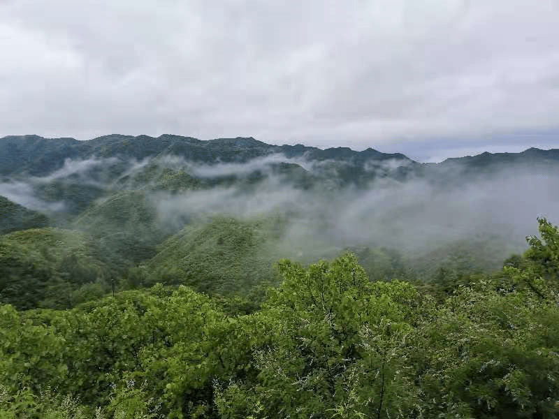 云雾|多图！白云深处有人家，雨后怀柔深山现云海奇观