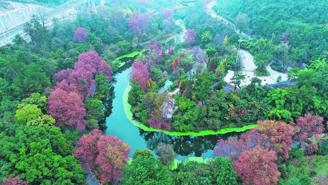 林带郁郁葱葱,家门口就能逛公园,全年"优良"的好空气……从2007年贵阳