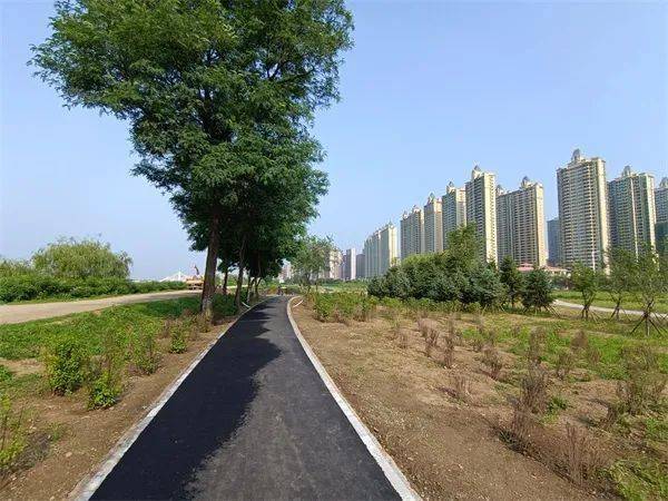 十里滨水公园东延绿化工程基本完工 现场美图来也(图2)