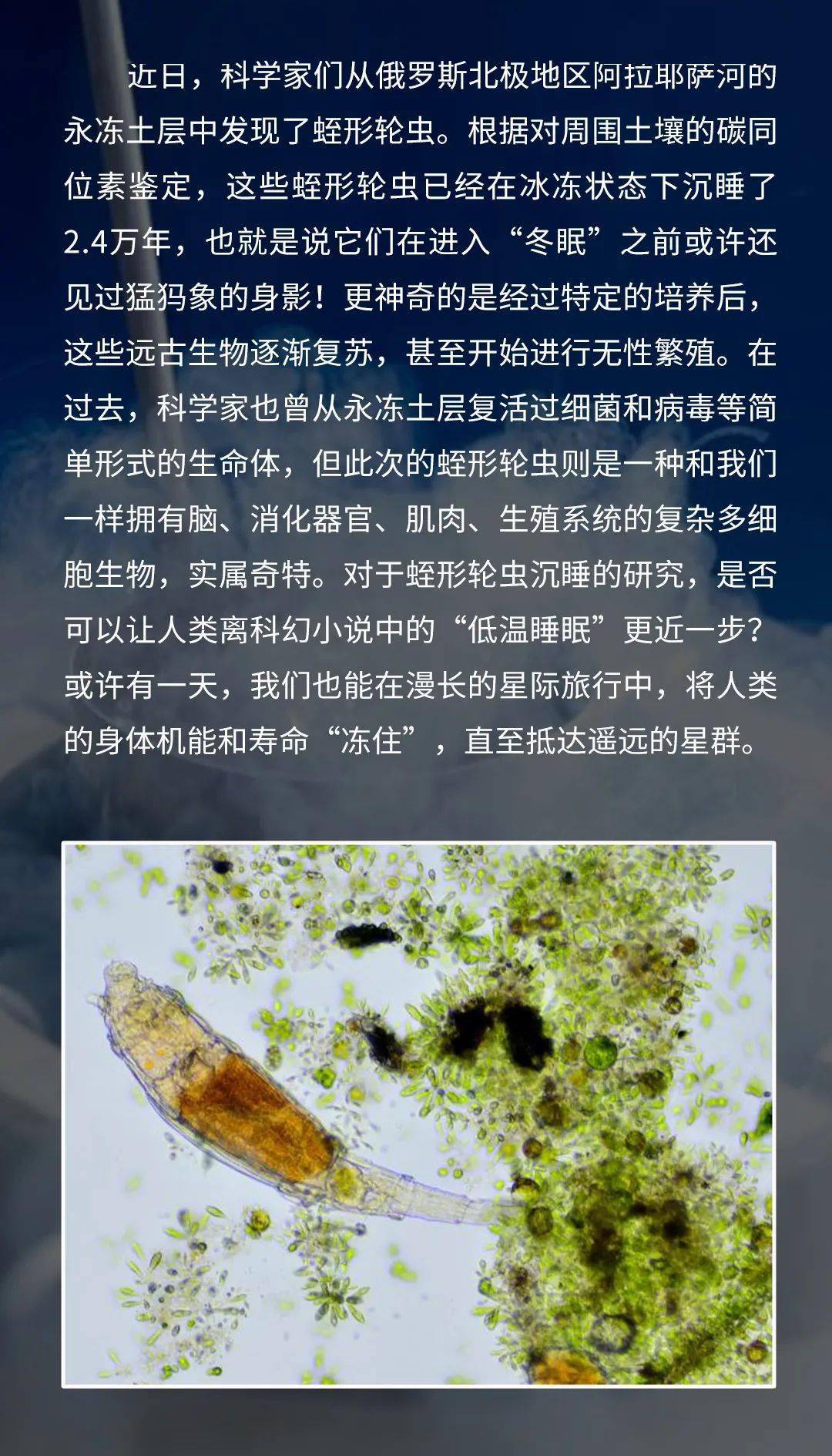 超超超超长待机的蛭形轮虫,一觉睡了2.4万年!