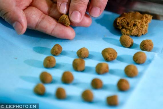 疾病|安徽黄山：“冬病夏治”正当时 三伏贴开贴