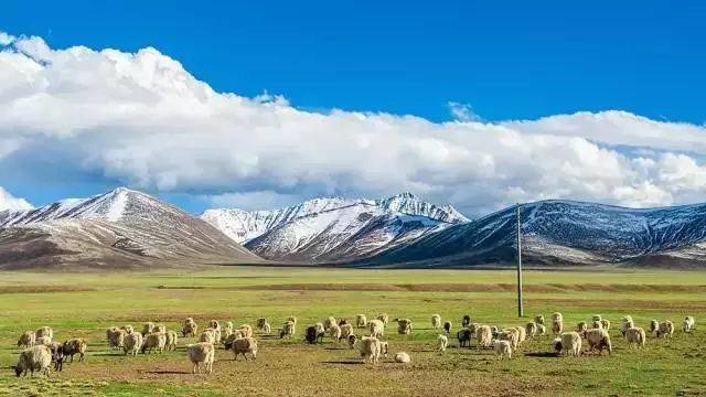 旅游与摄影 夏天的西藏,美到让人不想回家