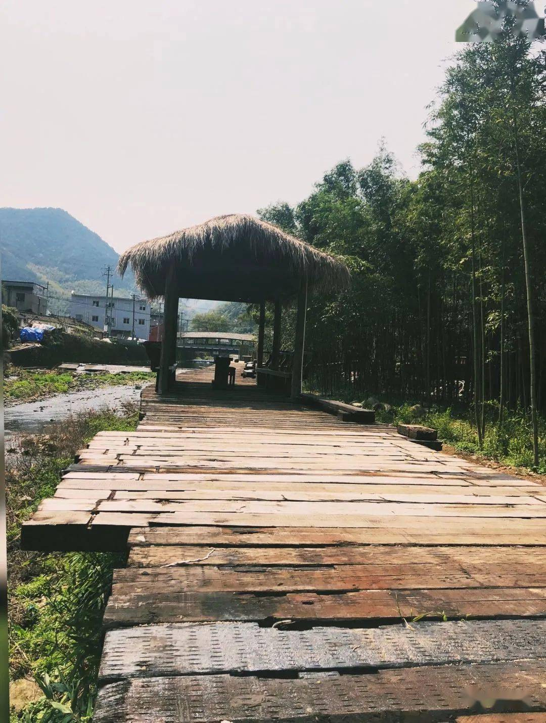 【写生啦】棠云艺术谷丨首届创作班报名马上截止