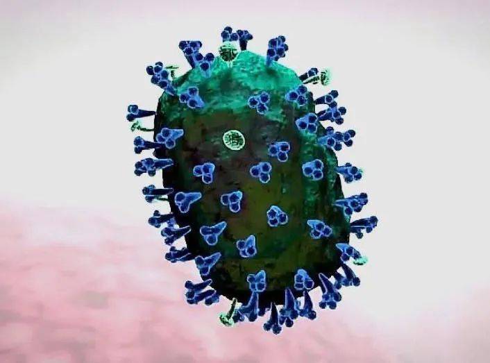 h5n1亚型禽流感病毒起源于家禽和野生鸟类,不仅对家禽造成极大死亡,也