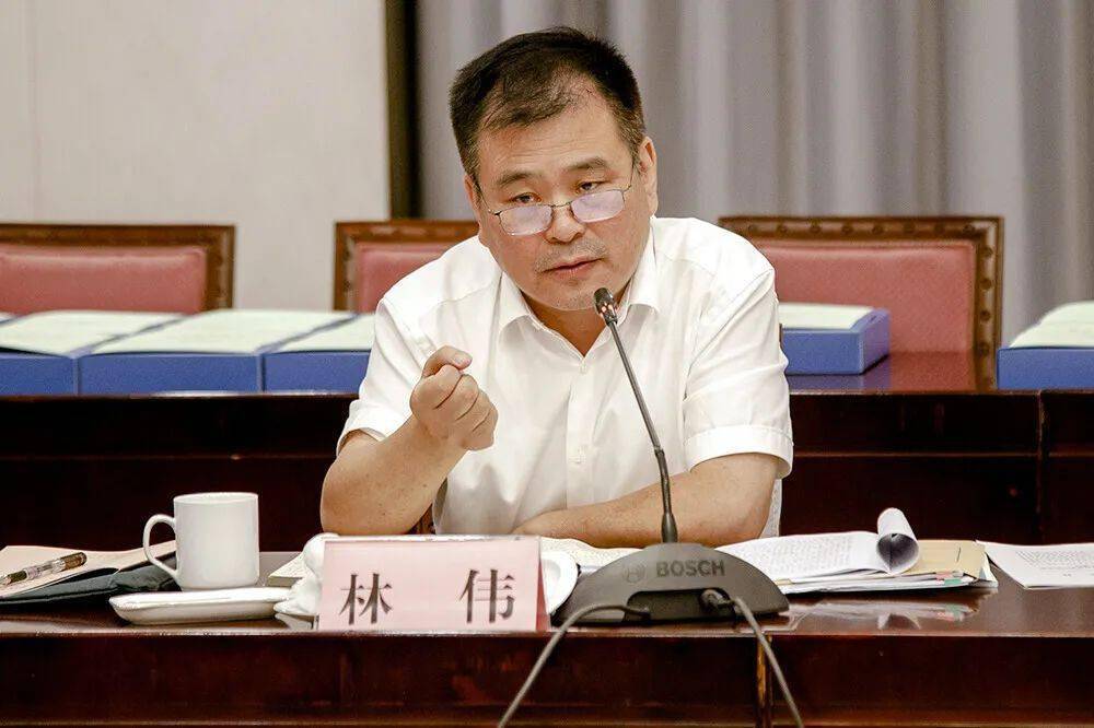 林伟指出