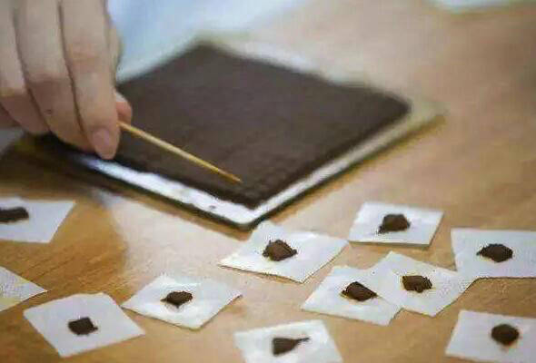 夏治|三伏天贴敷要抢“头彩”？大可不必