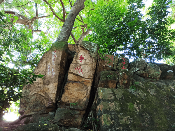 无诸|央广网观世遗|探访福州“明星”古厝冶山春秋园