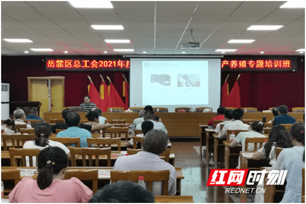 行走|行走的课堂——科技助力乡村振兴