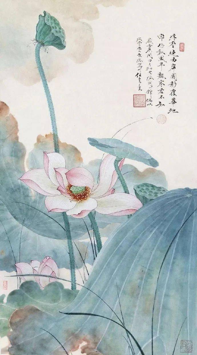 20位名家笔下最工笔画荷花50图一次看够
