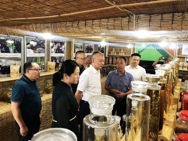 正东镇天麻种植基地调研,县委副书记,代理县长王一米,副县长王羽陪同