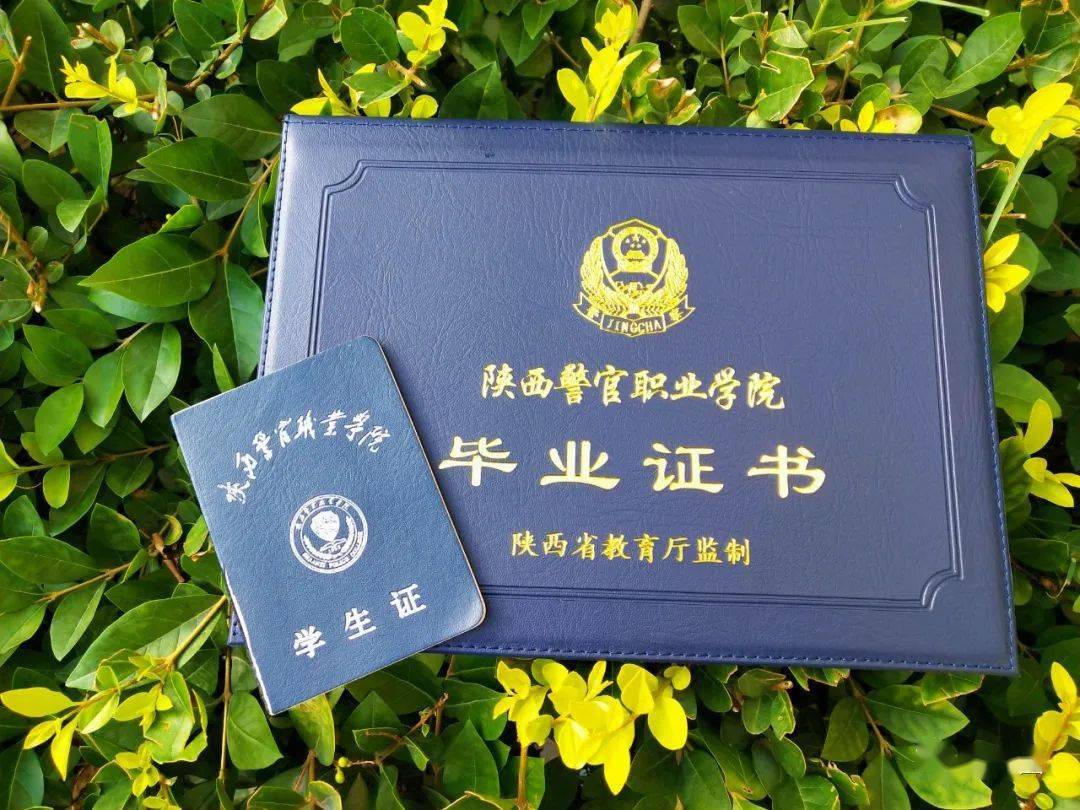 司法警官毕业证样本 来自搜狐网