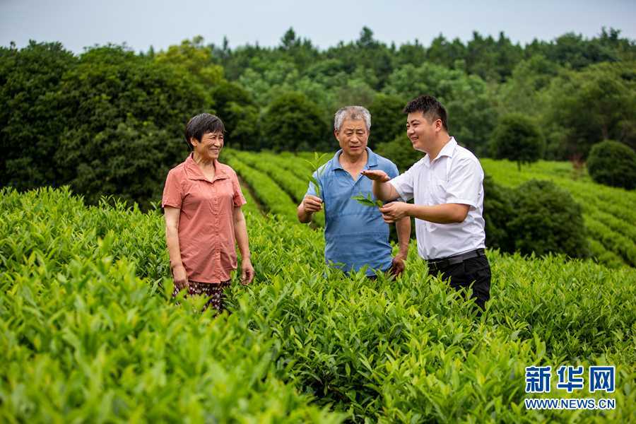 江苏省|开着汽车看乡村：一体化发展路更宽