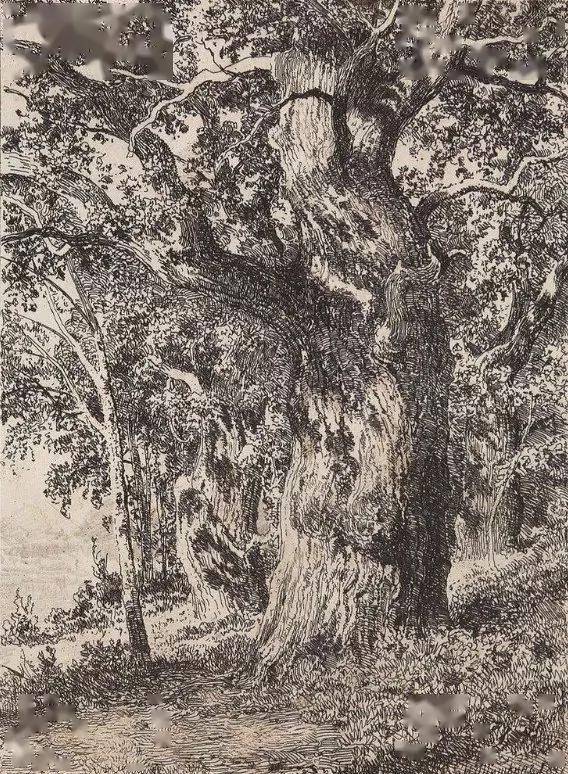 杰出绘画大师的超写实风景素描，难得一见！_搜狐网