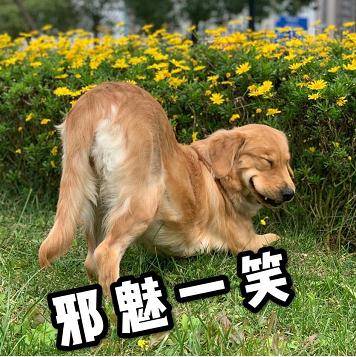 微信|微信新功能上热搜！除了“来电铃声”还有5个功能很实用