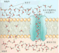 温度|三伏天护肤强攻略！水乳面霜放心用！
