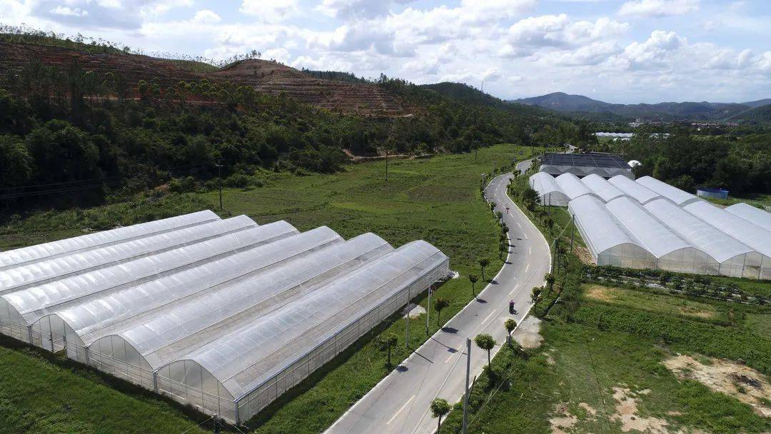 除了村民享受好环境外,白马村成功发展起旅游观光产业,成为惠州市脱贫