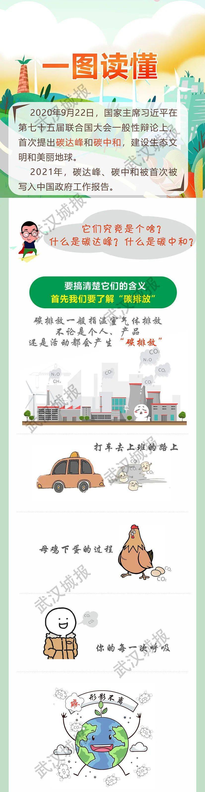一图读懂｜碳达峰、碳中和究竟是啥？ 气体汇 