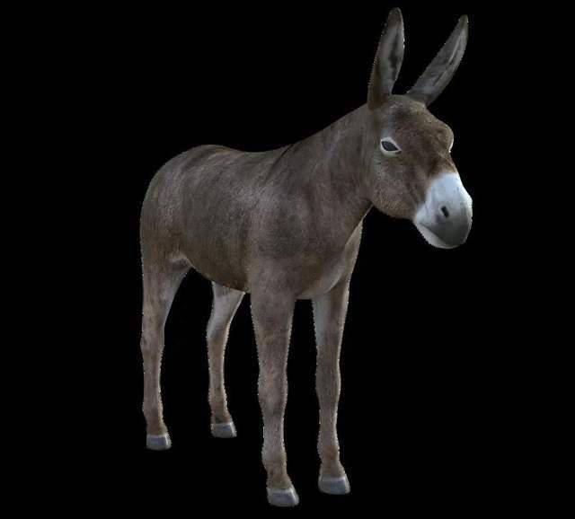 凌晨3点我在抖音看修驴蹄子