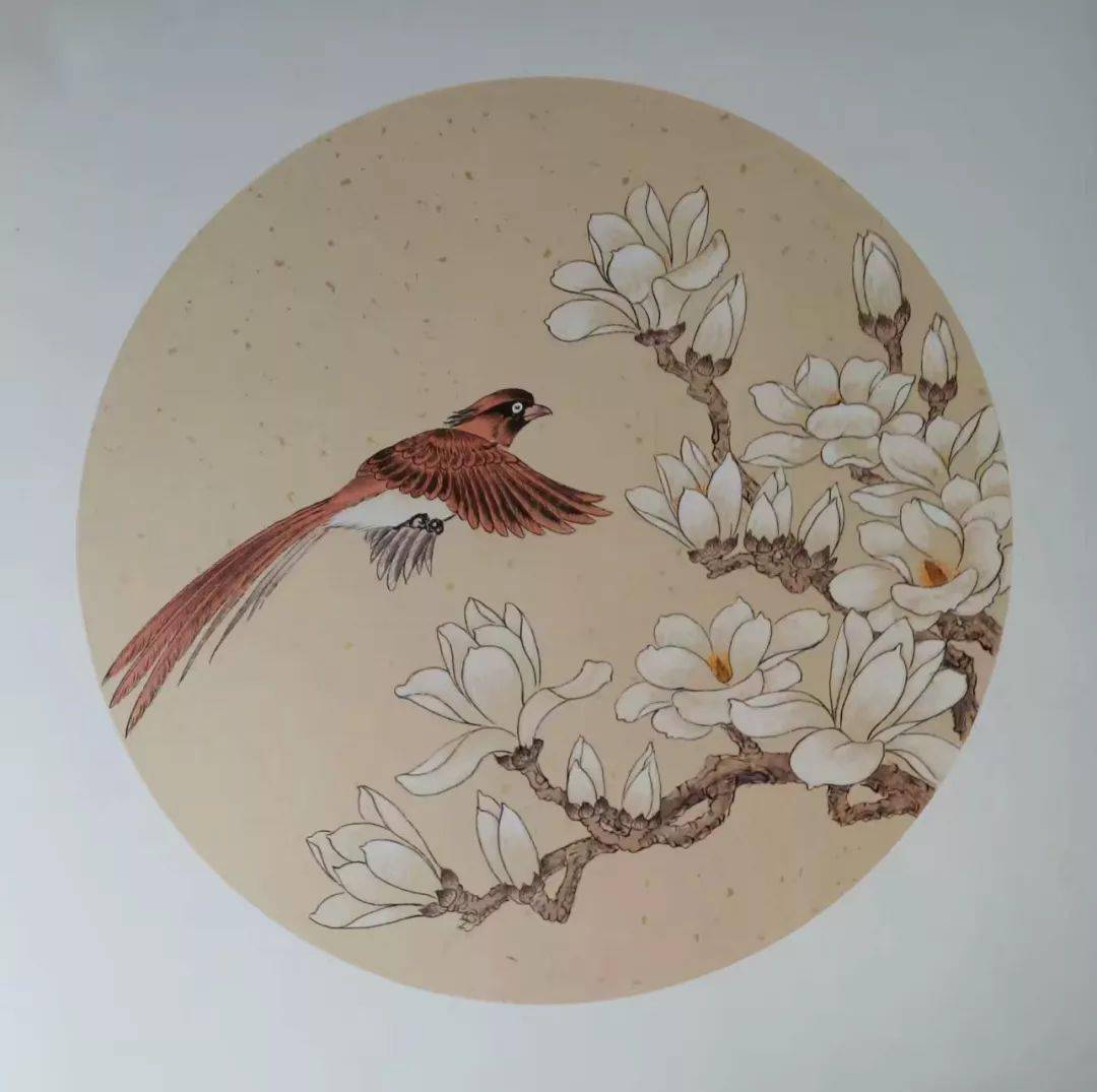 花鸟小品50幅,清新动人!_国画