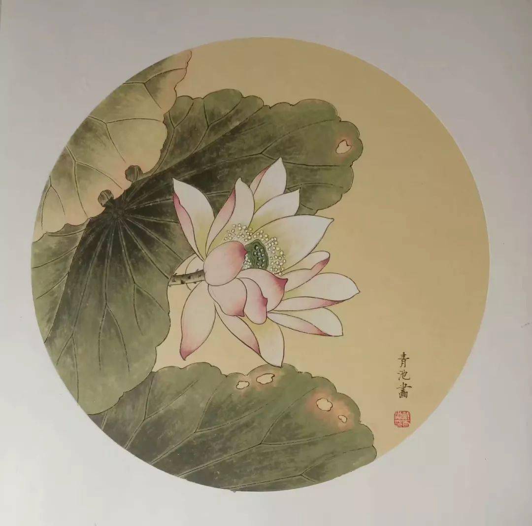 花鸟小品50幅,清新动人!_国画