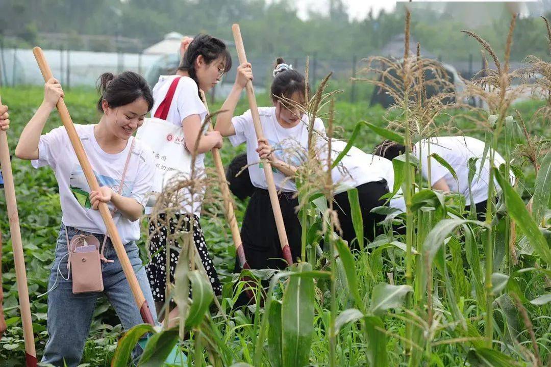 异能田园生活(异能田园生活 小说)