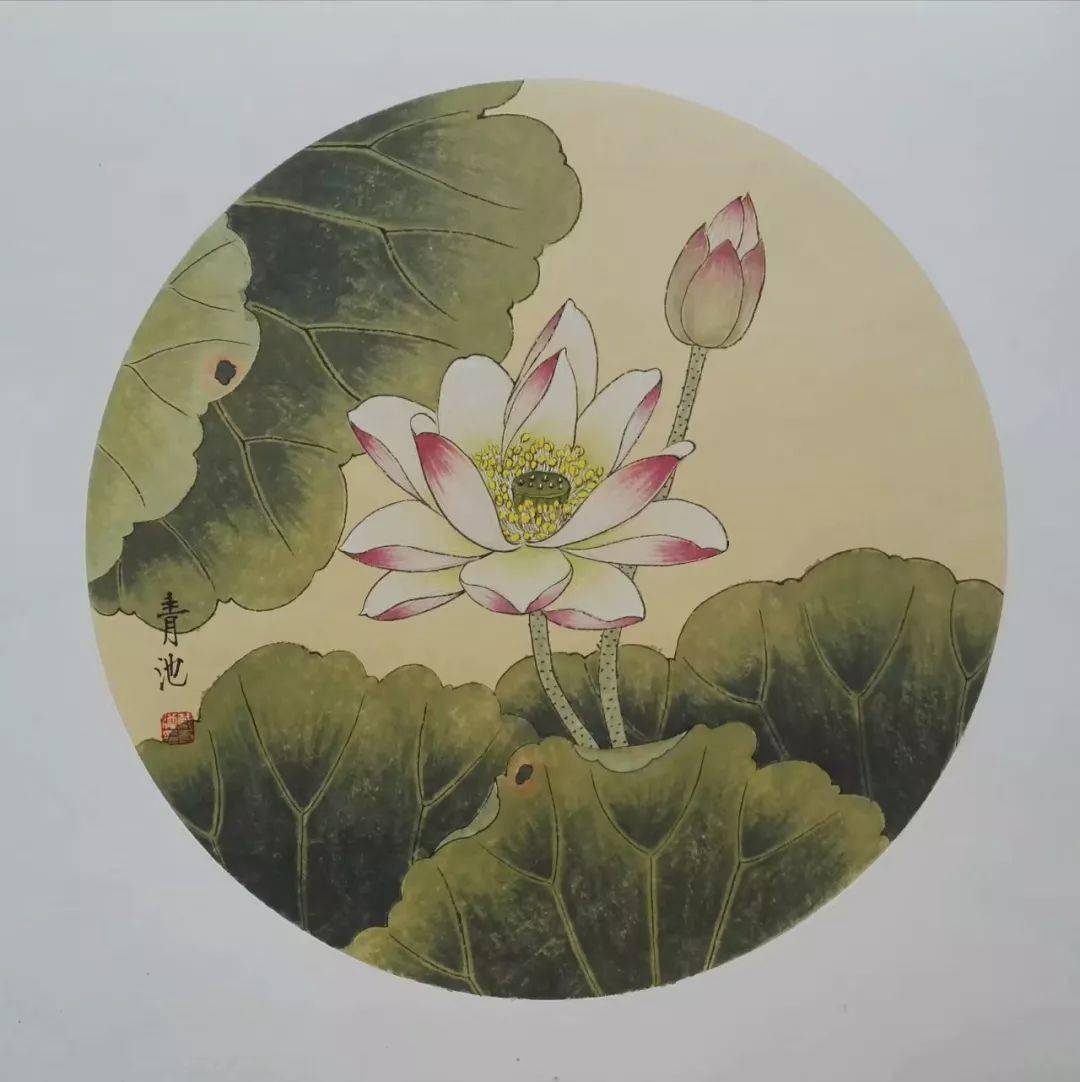 花鸟小品50幅,清新动人!_国画