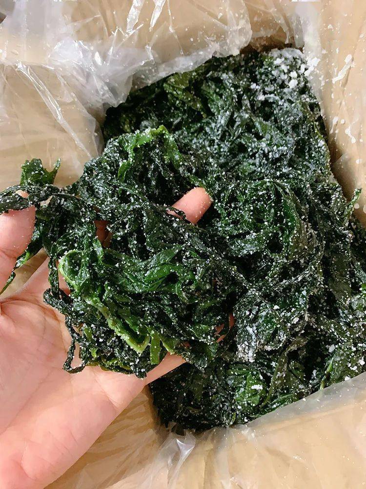 992美味鲜嫩脆爽裙带菜随手一煮鲜美滋补暖胃暖心又补钙