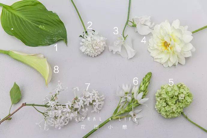 花艺小课堂韩式花篮插花方法