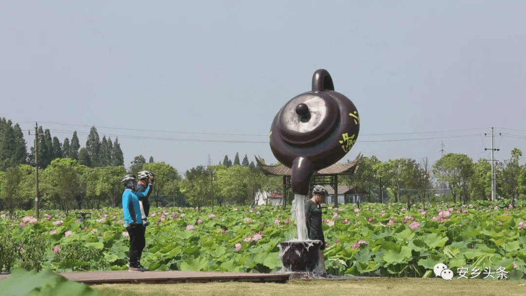 安乡第五届荷花节开幕