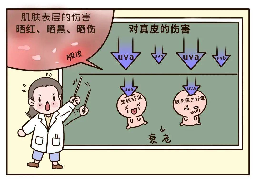 食品|为什么你用防晒，越用越黑？可能是因为……