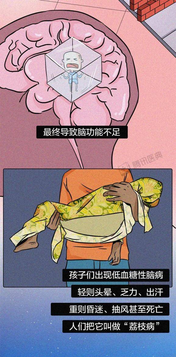 生物|吃下荔枝后，122个孩子永远地离开了