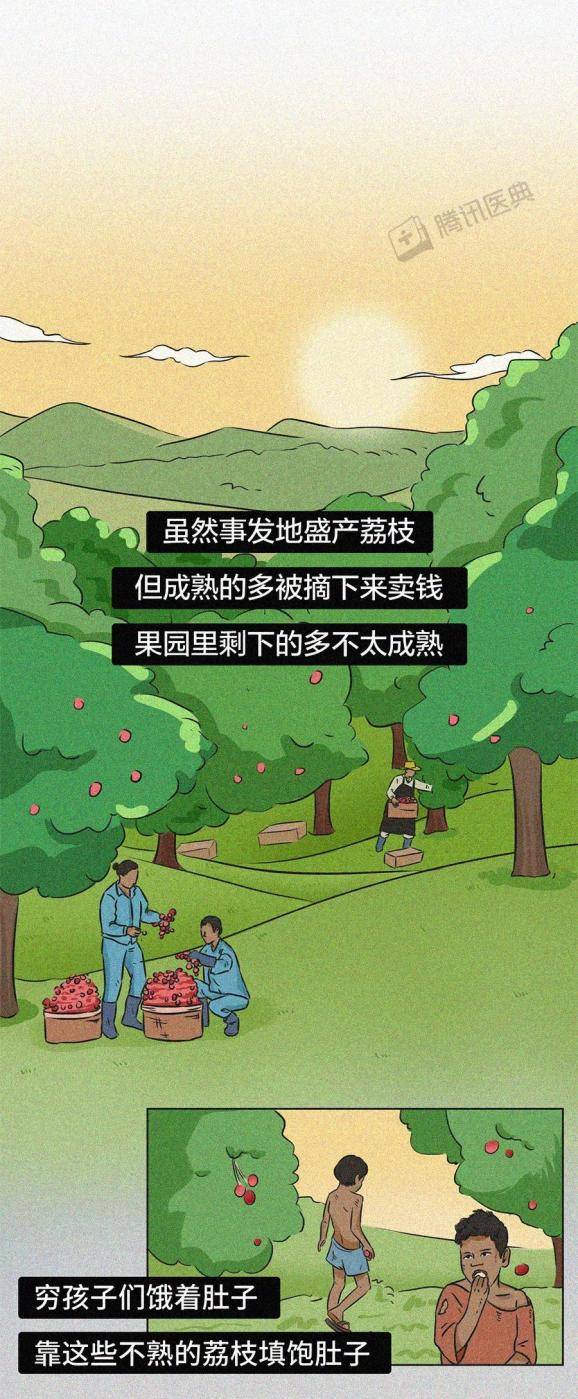 生物|吃下荔枝后，122个孩子永远地离开了