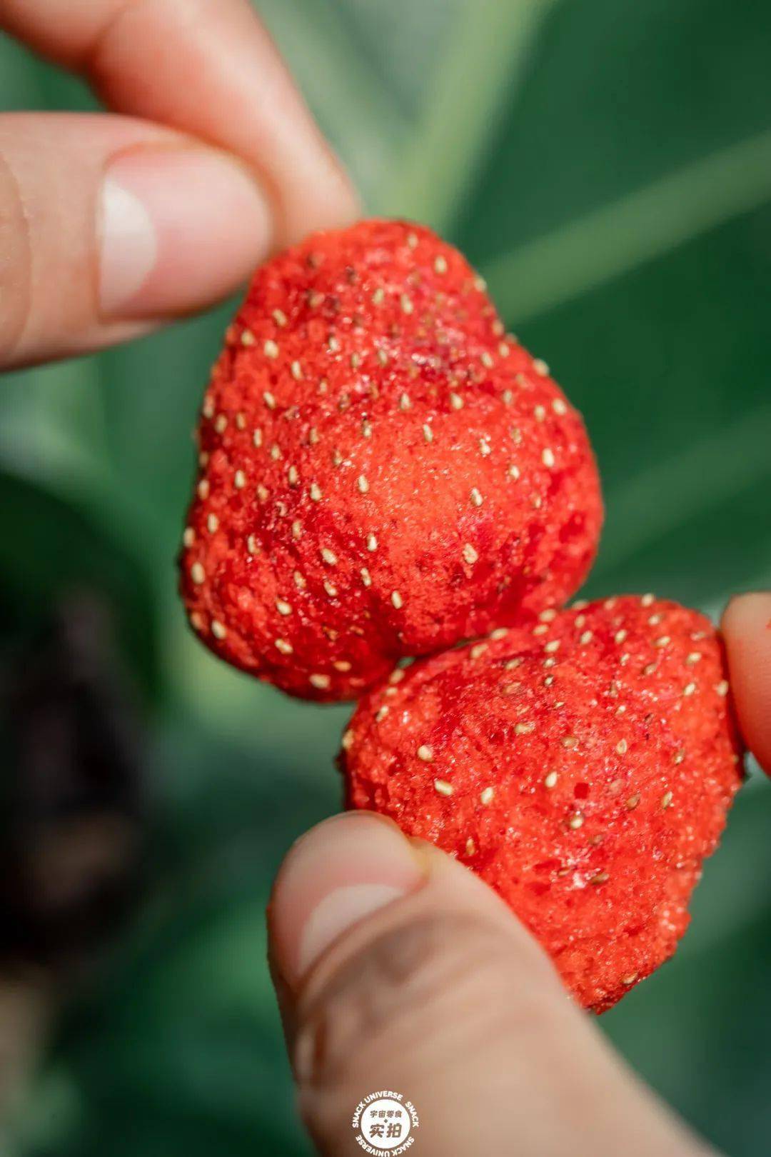 活动|全场6.6元任选,7月限时大促,错过不补!