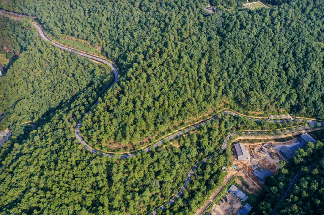 临平公园绿道全程公里图片