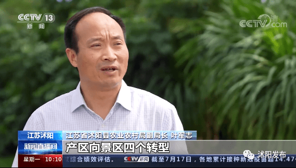 央视点赞沭阳:苏北第一县的"颜色经济"!