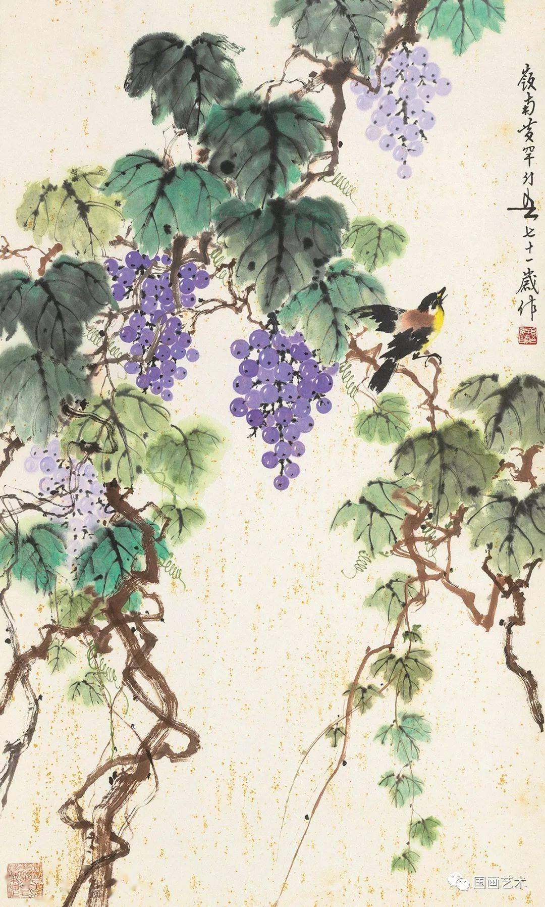 现当代名家黄幻吾笔下的葡萄小鸟