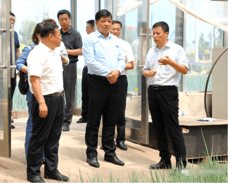 公主岭市委书记调研指导:以产业振兴推动乡村全面振兴