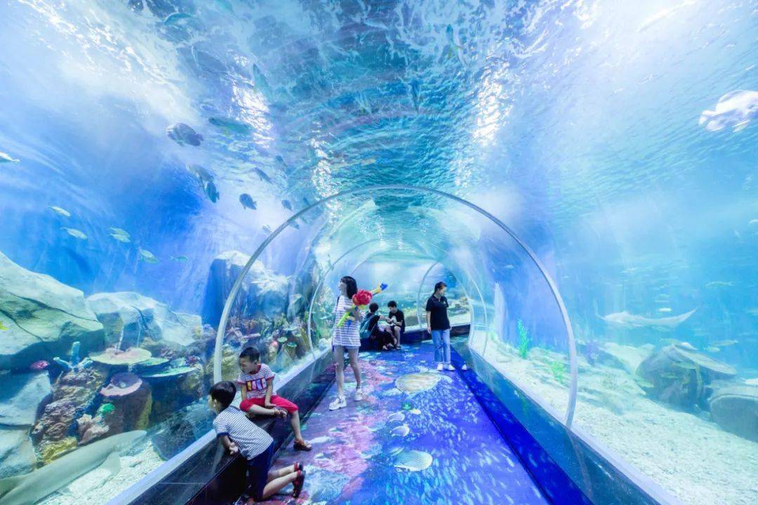 148元抢顺德海立方海洋公园2大1小套票来过个好玩又不热的暑假