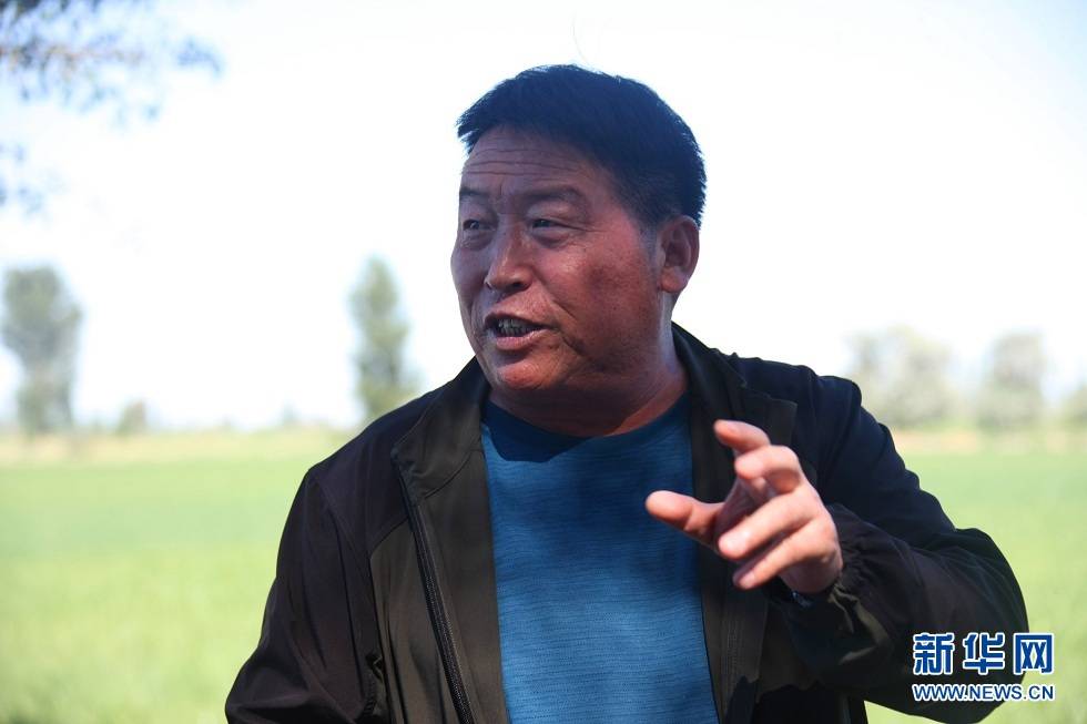 饮马农场副场长赵富强介绍农场高效节水情况(7月4日摄).