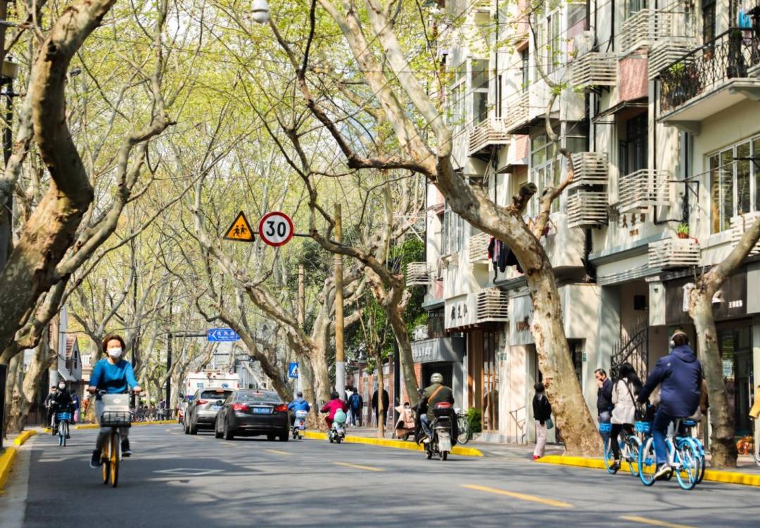 上海马路那么多，他们为何扎根愚园路？