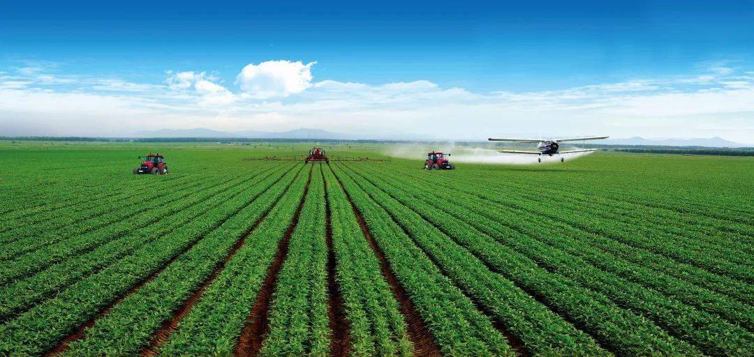 黑龙江:追责9人!