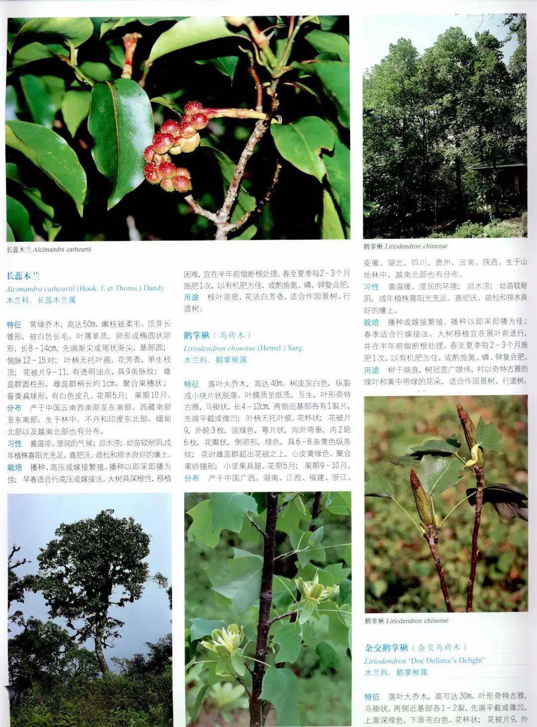 5c739a407a6d4af293fc052cd3027e39.jpeg
