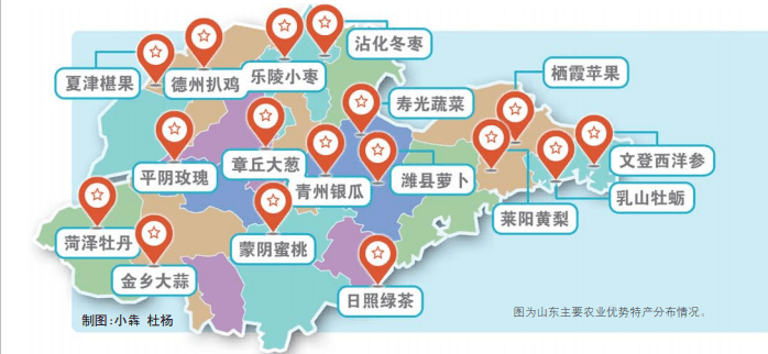 山东省16地市地图 特产图片