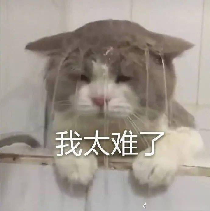 8b69647d57ce488bb5e208ce5a31525b.jpeg