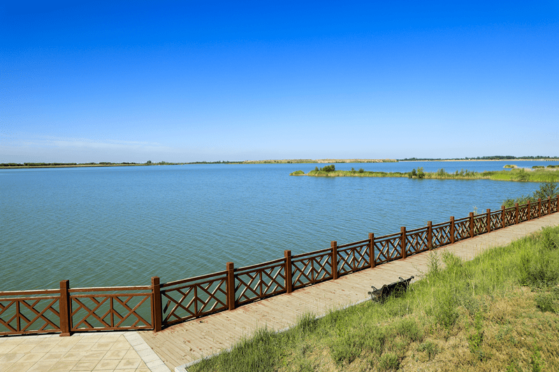 包头黄河湿地公园图片