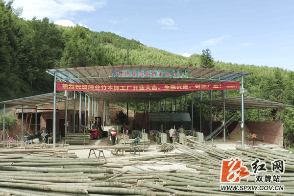 双牌何家洞镇：赋能“竹资源” 做强“竹产业”