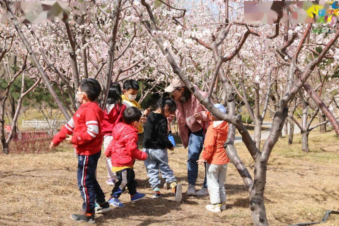 海淀区北京童语自然森林幼儿园2021年秋季招生简章